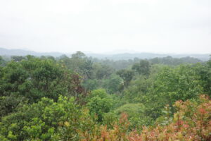 R0011647